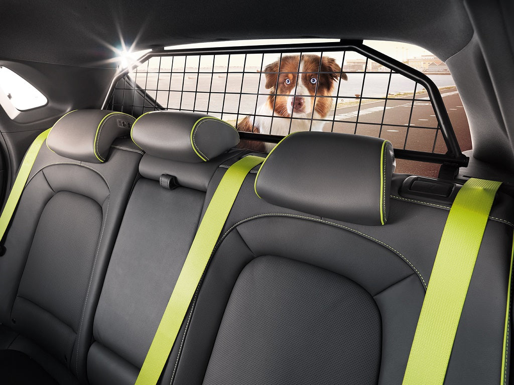Hyundai i10 AC3 Kofferraum - Trenngitter